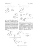 COMPOSITIONS AND METHODS FOR THE TREATMENT OF MODERATE TO SEVERE PAIN diagram and image