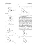 TRANSITION METAL-CATALYZED PROCESSES FOR THE PREPARATION OF N-ALLYL     COMPOUNDS AND USE THEREOF diagram and image