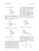 TRANSITION METAL-CATALYZED PROCESSES FOR THE PREPARATION OF N-ALLYL     COMPOUNDS AND USE THEREOF diagram and image