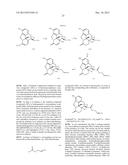 TRANSITION METAL-CATALYZED PROCESSES FOR THE PREPARATION OF N-ALLYL     COMPOUNDS AND USE THEREOF diagram and image