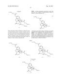 TRANSITION METAL-CATALYZED PROCESSES FOR THE PREPARATION OF N-ALLYL     COMPOUNDS AND USE THEREOF diagram and image