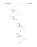 TRANSITION METAL-CATALYZED PROCESSES FOR THE PREPARATION OF N-ALLYL     COMPOUNDS AND USE THEREOF diagram and image