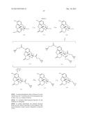 TRANSITION METAL-CATALYZED PROCESSES FOR THE PREPARATION OF N-ALLYL     COMPOUNDS AND USE THEREOF diagram and image