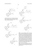 TRANSITION METAL-CATALYZED PROCESSES FOR THE PREPARATION OF N-ALLYL     COMPOUNDS AND USE THEREOF diagram and image