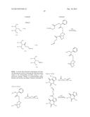 TRANSITION METAL-CATALYZED PROCESSES FOR THE PREPARATION OF N-ALLYL     COMPOUNDS AND USE THEREOF diagram and image