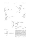 TRANSITION METAL-CATALYZED PROCESSES FOR THE PREPARATION OF N-ALLYL     COMPOUNDS AND USE THEREOF diagram and image