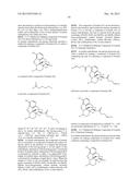 TRANSITION METAL-CATALYZED PROCESSES FOR THE PREPARATION OF N-ALLYL     COMPOUNDS AND USE THEREOF diagram and image