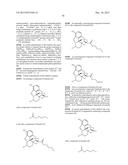 TRANSITION METAL-CATALYZED PROCESSES FOR THE PREPARATION OF N-ALLYL     COMPOUNDS AND USE THEREOF diagram and image