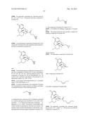 TRANSITION METAL-CATALYZED PROCESSES FOR THE PREPARATION OF N-ALLYL     COMPOUNDS AND USE THEREOF diagram and image