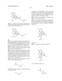 TRANSITION METAL-CATALYZED PROCESSES FOR THE PREPARATION OF N-ALLYL     COMPOUNDS AND USE THEREOF diagram and image