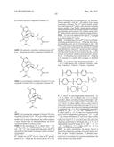 TRANSITION METAL-CATALYZED PROCESSES FOR THE PREPARATION OF N-ALLYL     COMPOUNDS AND USE THEREOF diagram and image