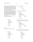 TRANSITION METAL-CATALYZED PROCESSES FOR THE PREPARATION OF N-ALLYL     COMPOUNDS AND USE THEREOF diagram and image