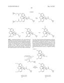 TRANSITION METAL-CATALYZED PROCESSES FOR THE PREPARATION OF N-ALLYL     COMPOUNDS AND USE THEREOF diagram and image