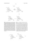 TRANSITION METAL-CATALYZED PROCESSES FOR THE PREPARATION OF N-ALLYL     COMPOUNDS AND USE THEREOF diagram and image