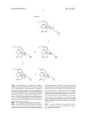 TRANSITION METAL-CATALYZED PROCESSES FOR THE PREPARATION OF N-ALLYL     COMPOUNDS AND USE THEREOF diagram and image