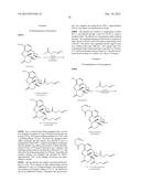 TRANSITION METAL-CATALYZED PROCESSES FOR THE PREPARATION OF N-ALLYL     COMPOUNDS AND USE THEREOF diagram and image