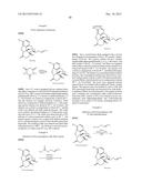 TRANSITION METAL-CATALYZED PROCESSES FOR THE PREPARATION OF N-ALLYL     COMPOUNDS AND USE THEREOF diagram and image