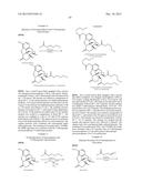 TRANSITION METAL-CATALYZED PROCESSES FOR THE PREPARATION OF N-ALLYL     COMPOUNDS AND USE THEREOF diagram and image