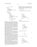 TRANSITION METAL-CATALYZED PROCESSES FOR THE PREPARATION OF N-ALLYL     COMPOUNDS AND USE THEREOF diagram and image