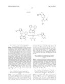 Triazine Derivatives diagram and image