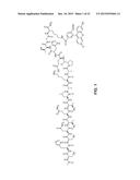 COMPOSITIONS FOR LABELING NERVES AND METHODS OF USE diagram and image