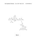 COMPOSITIONS FOR LABELING NERVES AND METHODS OF USE diagram and image