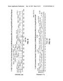 COMPOSITIONS FOR LABELING NERVES AND METHODS OF USE diagram and image