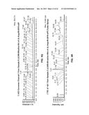 COMPOSITIONS FOR LABELING NERVES AND METHODS OF USE diagram and image