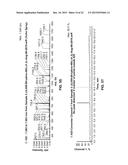 COMPOSITIONS FOR LABELING NERVES AND METHODS OF USE diagram and image