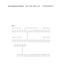 Non-Canonical Insulins and Their Uses diagram and image