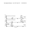 Non-Canonical Insulins and Their Uses diagram and image