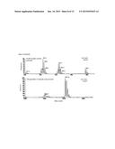 Non-Canonical Insulins and Their Uses diagram and image