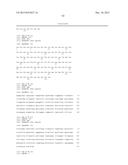 HUMAN CYTOMEGALOVIRUS NEUTRALIZING ANTIBODIES AND USE THEREOF diagram and image