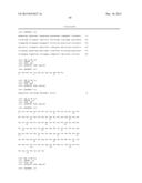 HUMAN CYTOMEGALOVIRUS NEUTRALIZING ANTIBODIES AND USE THEREOF diagram and image