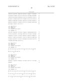 HUMAN CYTOMEGALOVIRUS NEUTRALIZING ANTIBODIES AND USE THEREOF diagram and image