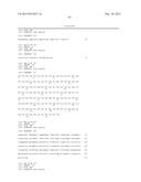 HUMAN CYTOMEGALOVIRUS NEUTRALIZING ANTIBODIES AND USE THEREOF diagram and image