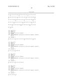 C-TERMINAL AND CENTRAL EPITOPE A-BETA ANTIBODIES diagram and image