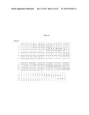 HUMAN MONOCLONAL ANTIBODIES TO GANGLIOSIDE GD2 diagram and image