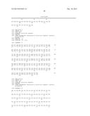 HUMAN MONOCLONAL ANTIBODIES TO GANGLIOSIDE GD2 diagram and image