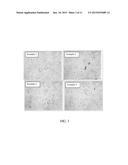 INTERMESHING MIXING OF FILLER AND POLYMER SOLUTION MASTERBATCH diagram and image