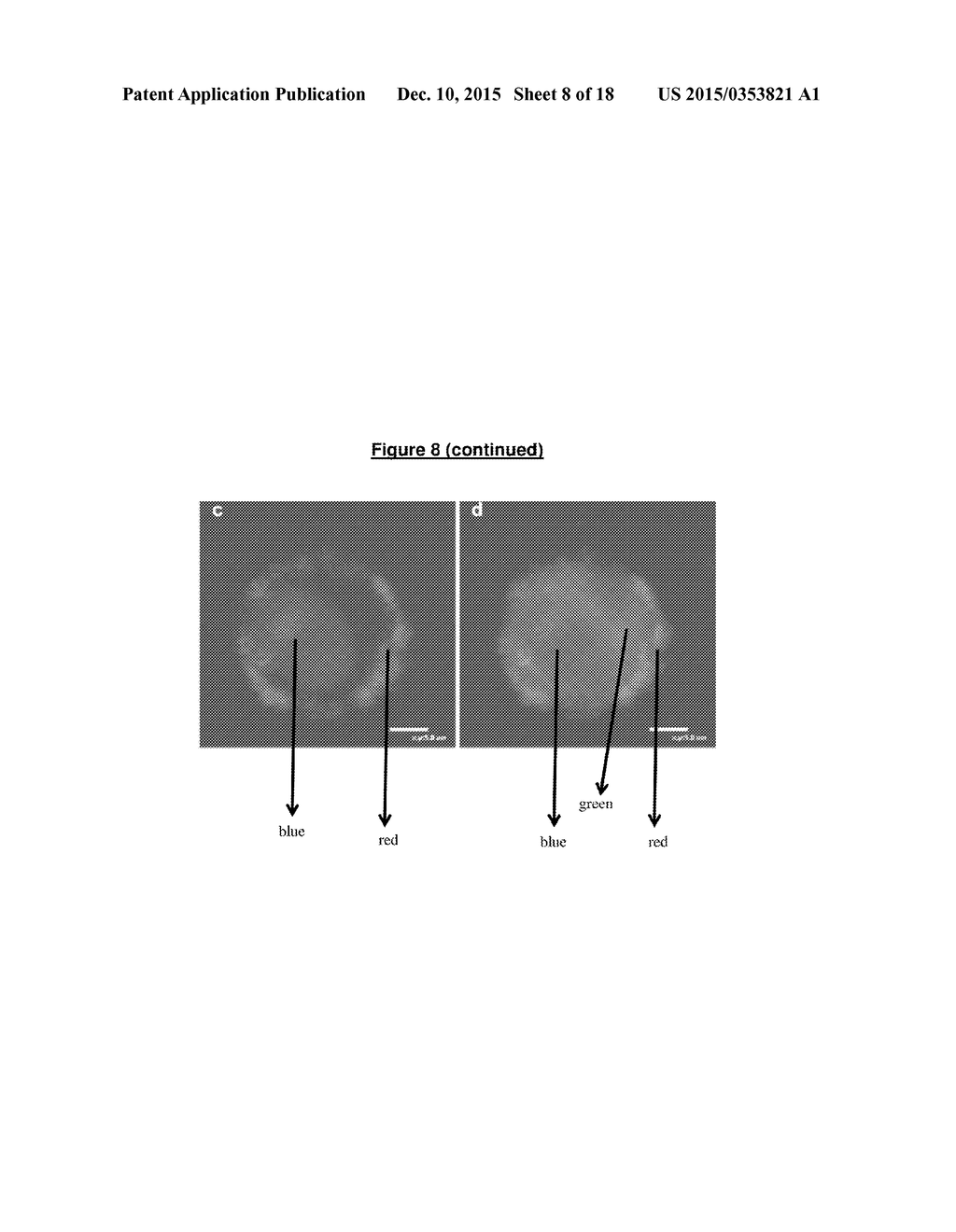 AN UPCONVERSION FLUORESCENT NANOPARTICLE - diagram, schematic, and image 09