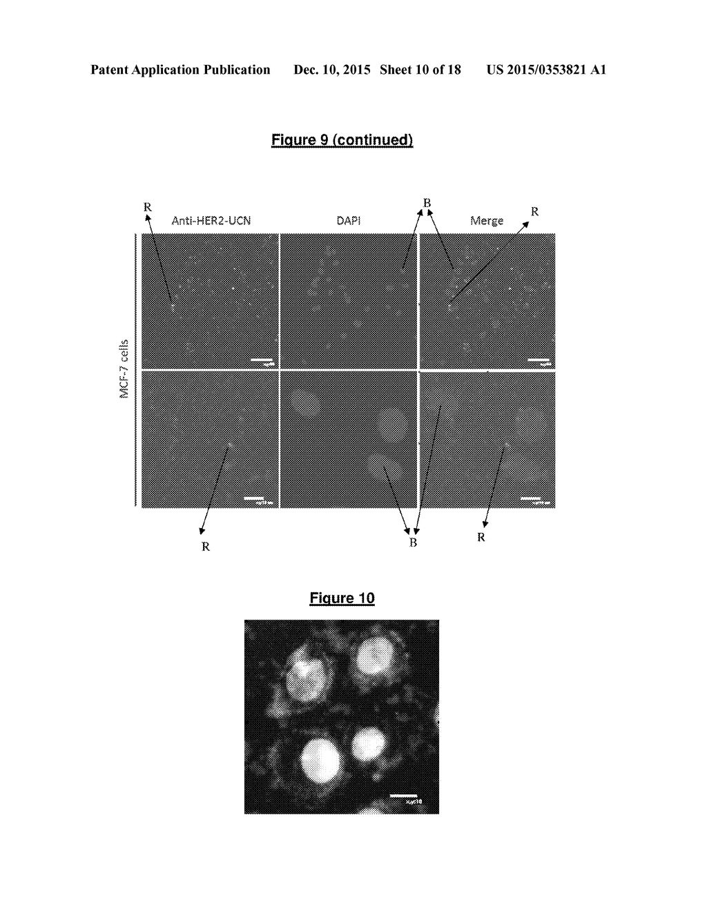 AN UPCONVERSION FLUORESCENT NANOPARTICLE - diagram, schematic, and image 11