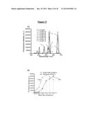 AN UPCONVERSION FLUORESCENT NANOPARTICLE diagram and image