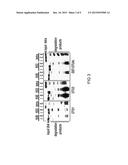 ISOLATED POLYPEPTIDES, KITS COMPRISING THE SAME AND USES THEREOF diagram and image