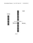 GALVANOTAXIS ASSAY FOR QUANTITATIVE ASSESSMENT OF THE METASTATIC POTENTIAL     OF CANCER CELLS diagram and image