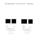 GALVANOTAXIS ASSAY FOR QUANTITATIVE ASSESSMENT OF THE METASTATIC POTENTIAL     OF CANCER CELLS diagram and image