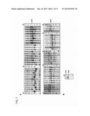 METHOD OF ON-CHIP NUCLEIC ACID MOLECULE SYNTHESIS diagram and image