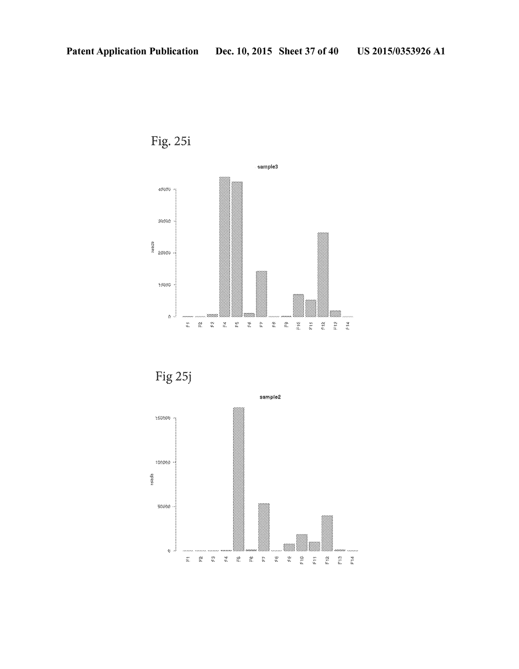 POLYNUCLEOTIDE MODIFICATION ON SOLID SUPPORT - diagram, schematic, and image 38