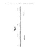 ANTISENSE OLIGONUCLEOTIDES FOR INDUCING EXON SKIPPING AND METHODS OF USE     THEREOF diagram and image