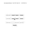 ANTISENSE OLIGONUCLEOTIDES FOR INDUCING EXON SKIPPING AND METHODS OF USE     THEREOF diagram and image